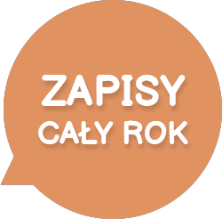 zapisy caly rok brzoskwiniowy ba13ddee 0622 100842